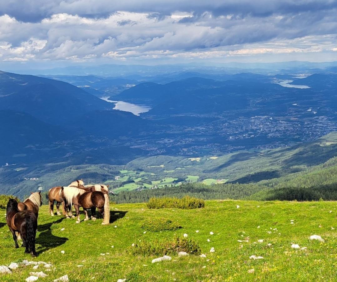 Direkter Seezugang Am Ossiacher See, Radfahren, Wandern & Erlebniscard Villach Luaran gambar